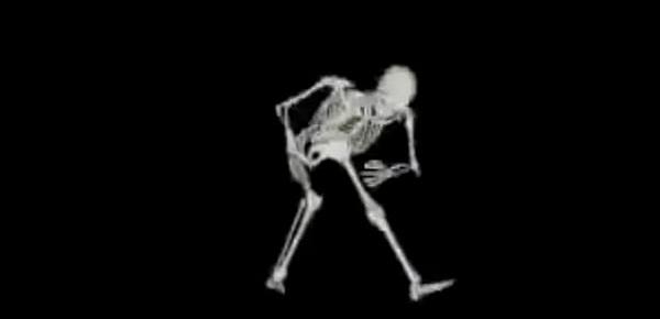  Esqueleto Corno Manso